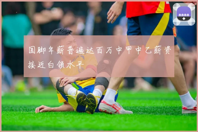 国脚年薪普遍达百万中甲中乙薪资接近白领水平