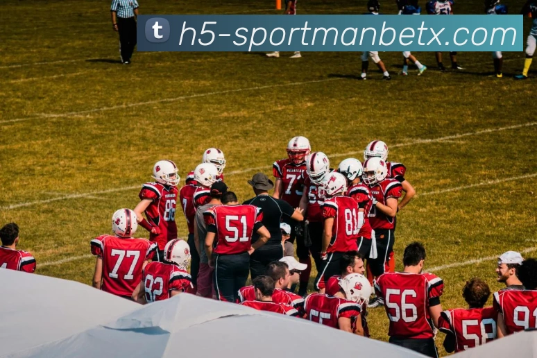 万博体育平台生态图